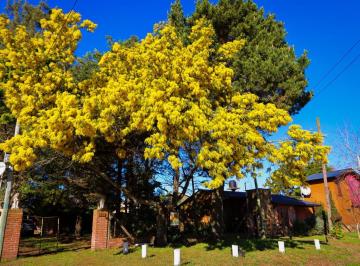 Casa , Mar del Tuyú · Venta - Permuta Casa Unica en Mar del Tuyu