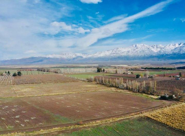 Campo · 350ha