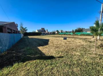 Terreno · 518m² · Terreno - Punta Chacra