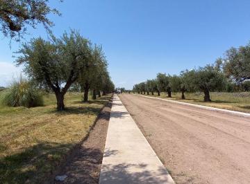 Terreno , Mayor Drummond · Oportunidad de Inversion Lote en Venta Monteolivo Barrio Privado Lujan de Cuyo