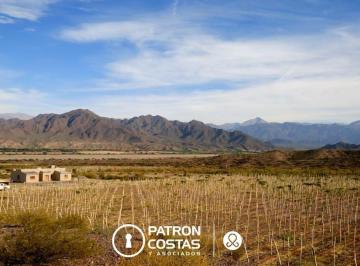 Campo · 3ha · Chacra en Venta en Molinos Valles Calchaquies