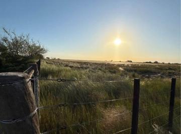 Campo , Puan · Venta de Cuatro Chacras en Block en Villa Iris, Partido de Puan.