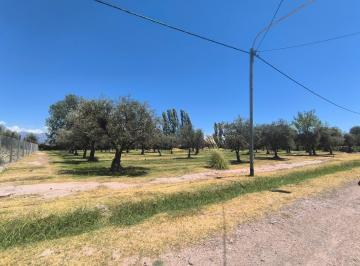 Terreno · 1500m² · Terreno de 910 m² en Calle 25 de Mayo y Callejón Molina de Maipú, Mendoza.