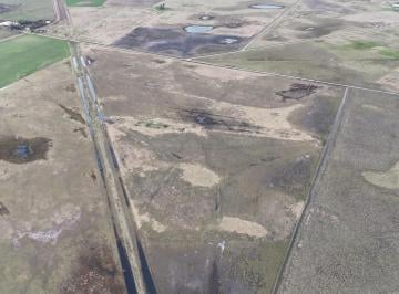 Campo · 52ha · 52 Hectáreas en Venta en Pehuajó a 6 Km de Ruta 226