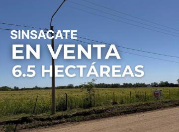 Terreno · 6ha · 6.5 Ha en Venta en Sinsacate