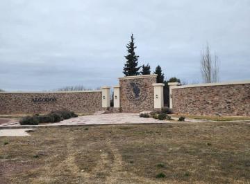 Terreno , San Rafael · Venta de Lotes. Barrio Privado Pueblo Benegas. San Rafael.