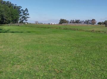 Terreno · 1000m² · Lotes en Venta a 200 m de La Laguna Pucu