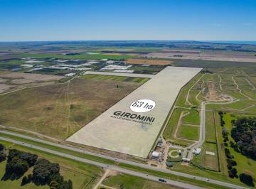 Campo · 63ha · Campo - Ruta 226 - Mar del Plata