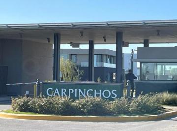 Terreno · 504m² · Terreno Lote en Venta Ubicado en Carpinchos, Nordelta, Tigre