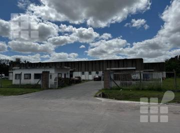 Bodega-Galpón · 4600m² · Galpón en La Plata