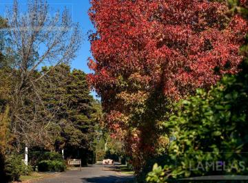 Terreno · 492m² · Lote en Venta 492 m² | Country Carlos Pellegrini