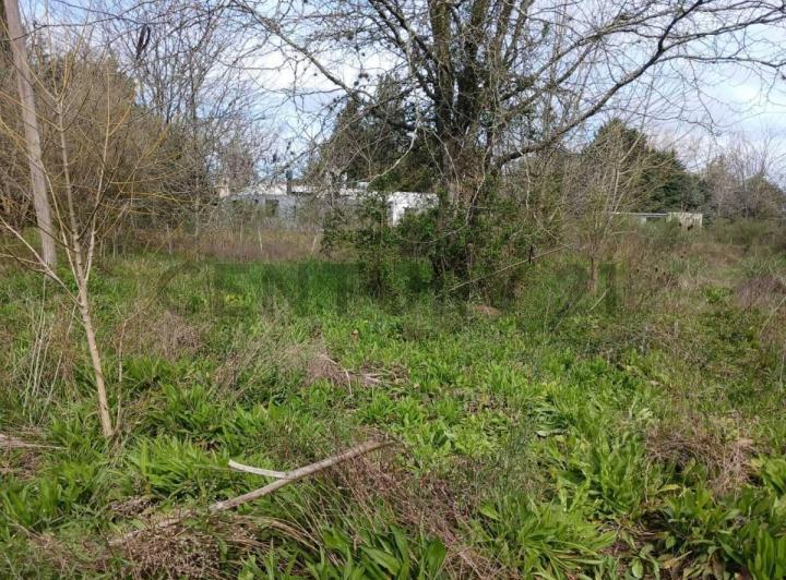 Terreno · 1200m²