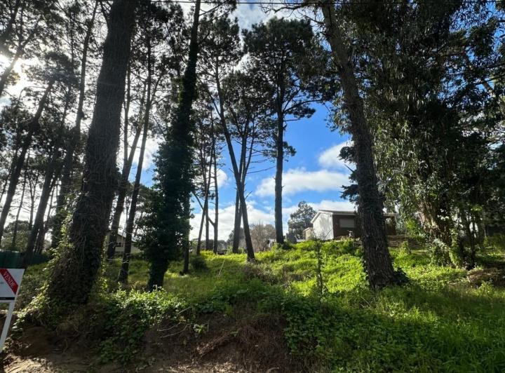 Terreno · 603m²