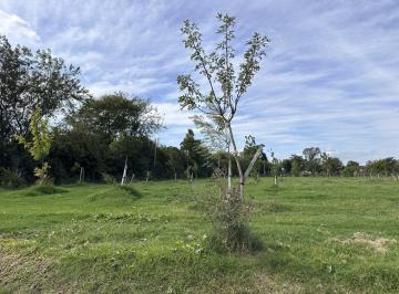 Terreno · 600m² · Terreno en Venta, Eco Islandia, Ing. Maschwitz
