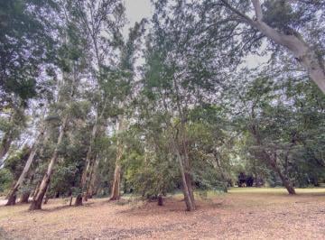 Terreno · 4800m² · Lote en Venta Campos de Roca I de 4800 m