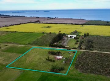 Campo · 10000ha · 2 Ambientes · 1 Cochera · Venta de Chacra de 1 Hectárea en San Pedro, Colonia