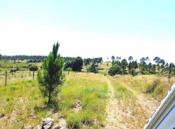 Terreno · 9999m² · Villa Berna Vendo Oportunidad Lote 1 Hectarea! en Complejo Las Chacritas Espectacular!