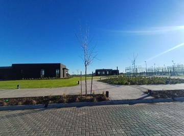 Terreno · 600m² · Venta o Permuta Lote en Damasia Al Sur Canning