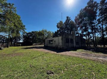 Terreno · 10000m² · Venta Lote Hectarea a 7000 Usd en Marcos Paz