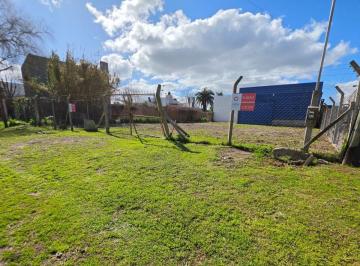 Bodega-Galpón de 1 ambiente, La Plata · Calle 6bis E/ 84 y 85 - Galpón a Estrenar