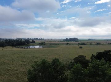 Campo · 240000m² · Campo en Venta con Mejoras Cercado Totalmente y Dos Accesos por Ruta 41 y por Ruta 3