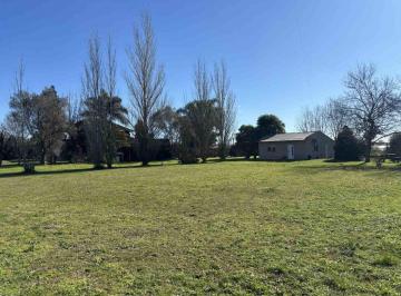 Campo · 500ha · Campo en Venta en Abasto con Casa y Local