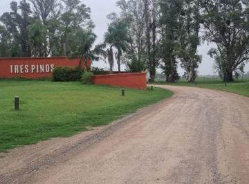 Terreno · 1000m² · Terreno Lote en Venta en Villa de Campo Tres Pinos, Luján, G. B. a. Zona Oeste