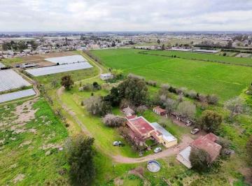 Campo · 46ha · Venta Campo 46 Hecátareas Excelente Oportunidad