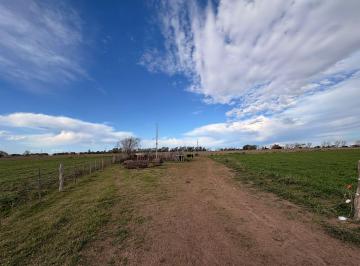 Campo · 31ha · Chacra en Eduardo Castex, La Pampa