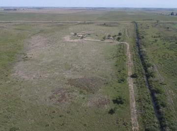 Campo · 4240000m² · Campo a La Venta, 424 Has en San Genaro.