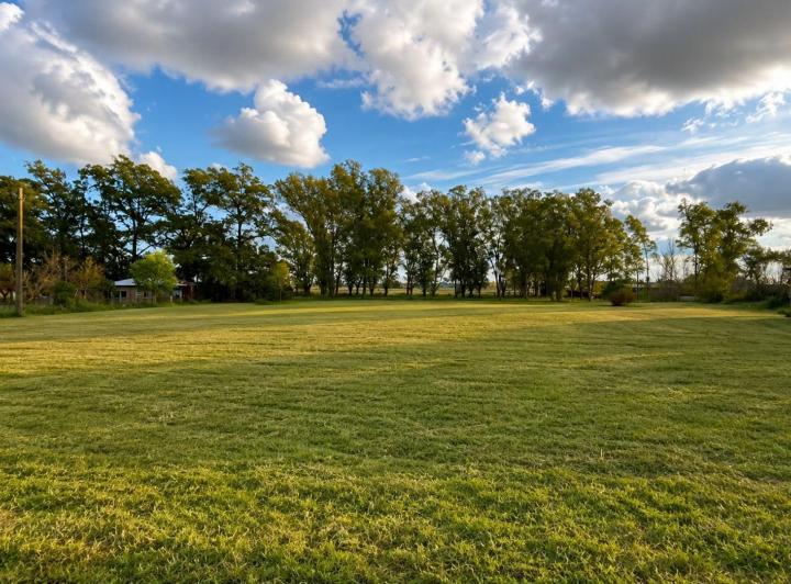 Terreno · 1093m²