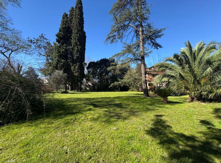 Terreno · 4800m²