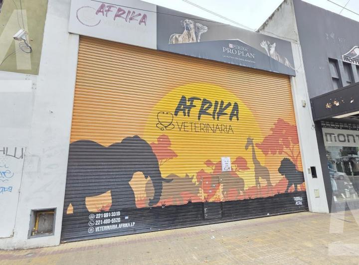 Local comercial · 250m² · 4 Ambientes