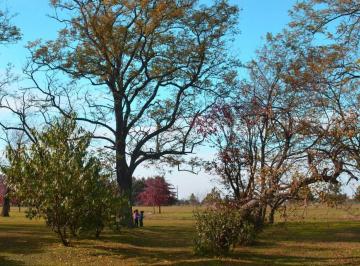 Terreno · 1500m² · Lote a La Venta en Barrio Cerrado "Las Hojas" - Marcos Paz