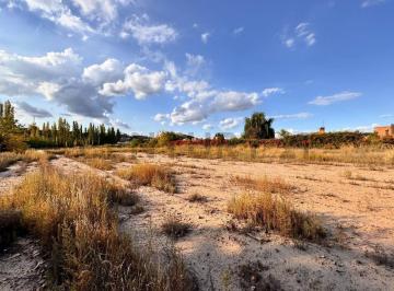 Terreno · 11221m² · Lote Para Invertir en Vistalba