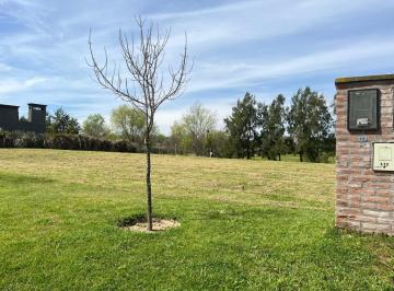 Terreno · 786m² · Terreno en El Naudir