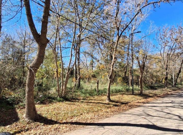 Terreno · 50000m²