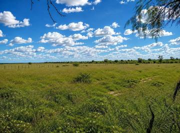 Campo · 876ha · 3 Dormitorios · Venta. Campo 876 Has Mixto. Serrezuela (Córdoba)