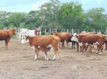 Campo · 2672ha · Campo de 2.672 Hectáreas en Pinto, Santiago del Estero