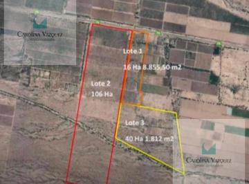 Campo · 168ha · Venta Campo Nonogasta Depto. Chilecito La Rioja
