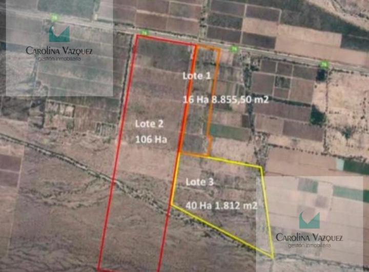 Campo · 168ha