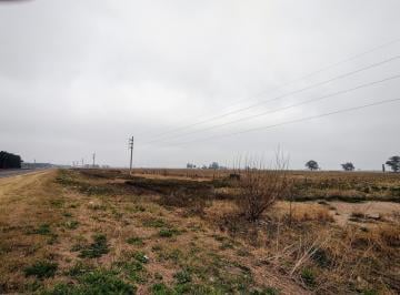 Campo · 320000m² · Venta Fracción de Campo en Piñero