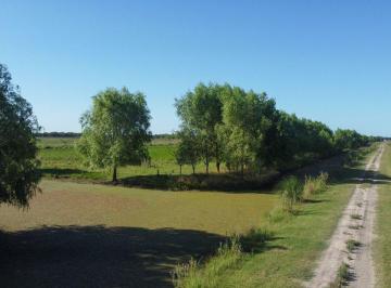 Terreno · 6000m² · Venta Lote Comercial La Mansa General Madariaga