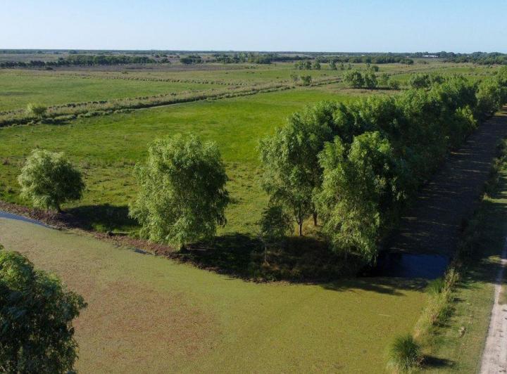 Terreno · 6000m²
