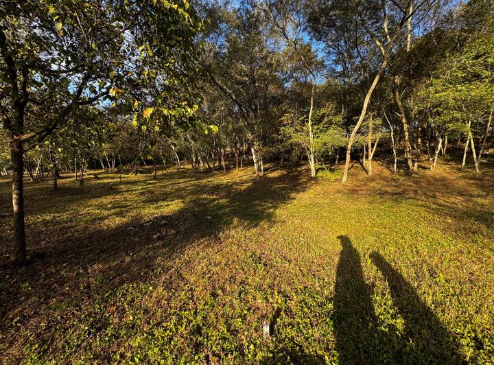 Terreno · 485m²