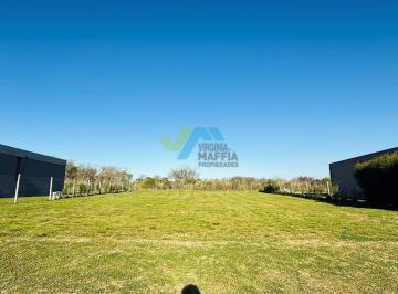 Terreno · 820m² · Terreno Lote en Venta en San Sebastian - Area 2, San Sebastian, Escobar