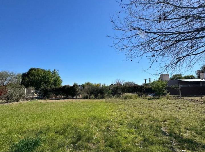 Terreno · 2500m²