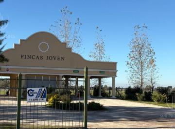 Terreno · 652m² · Terreno en Fincas Joven