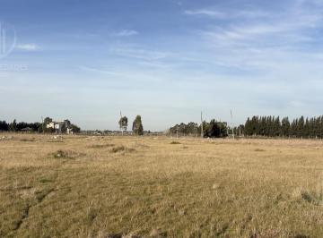 Terreno · 1500m² · Terreno en San Vicente