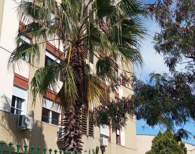 Departamento · 51m² · 3 Ambientes